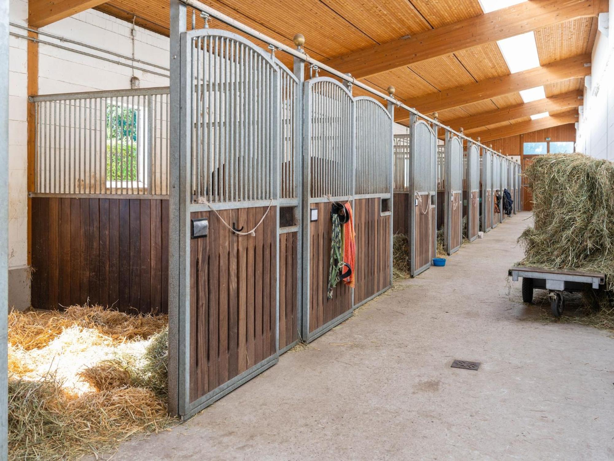 Holiday Home On A Horse Farm In The L Neburg Heath Eschede Esterno foto