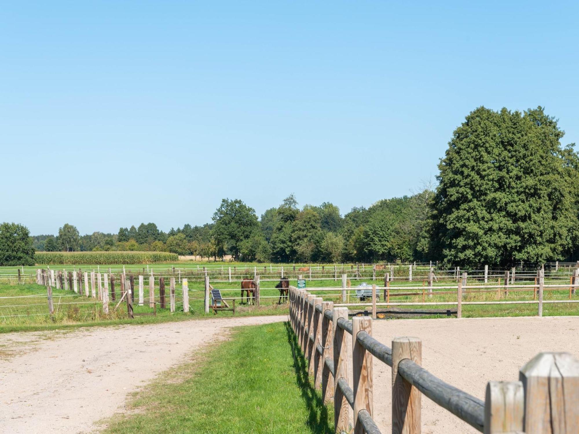 Holiday Home On A Horse Farm In The L Neburg Heath Eschede Esterno foto