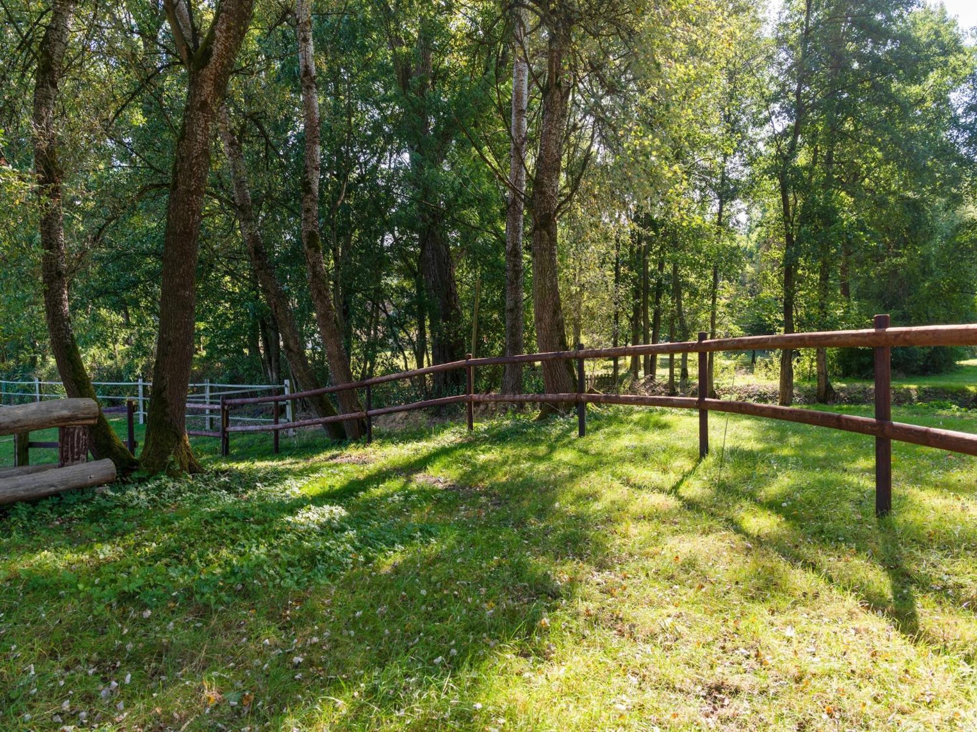 Holiday Home On A Horse Farm In The L Neburg Heath Eschede Esterno foto